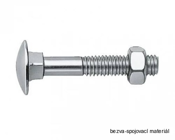 Vratový šroub M6x100 zinek bílý